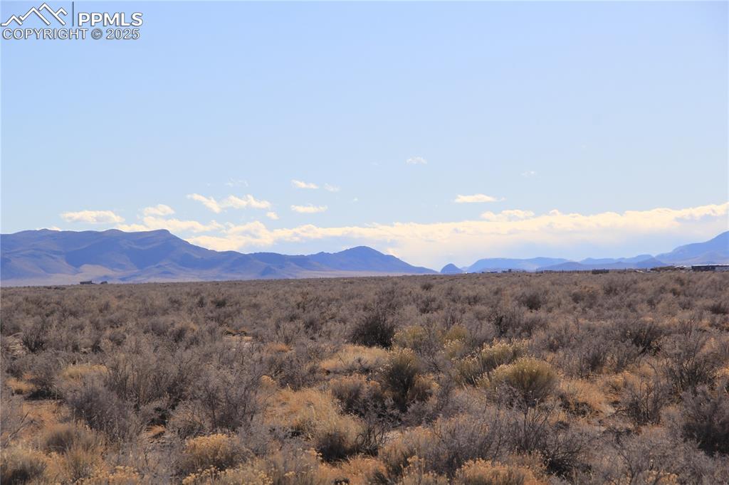 Image 16 of 23: View