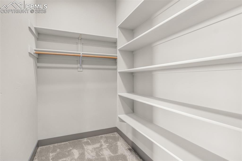 Image 28 of 50: Spacious closet featuring carpet flooring