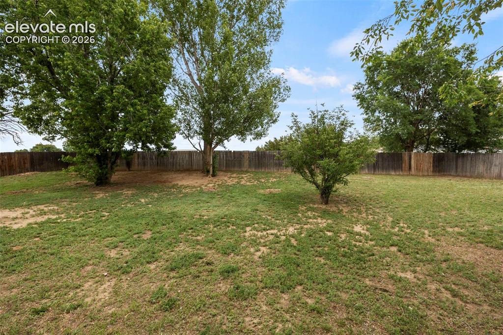 Image 6 of 49: Yard