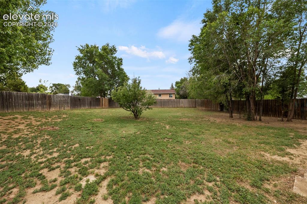 Image 7 of 49: Yard