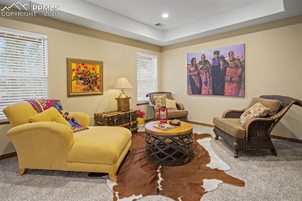 Image 26 of 50: All windows are above ground and trey ceilings.