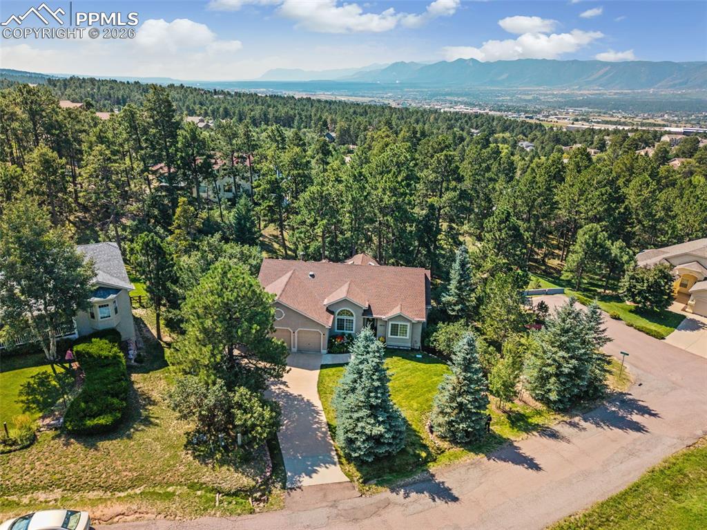 Image 47 of 50: Mountain views in background can be seen through the trees