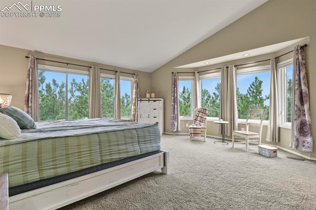 Image 21 of 50: Bedroom with vaulted ceiling and carpet