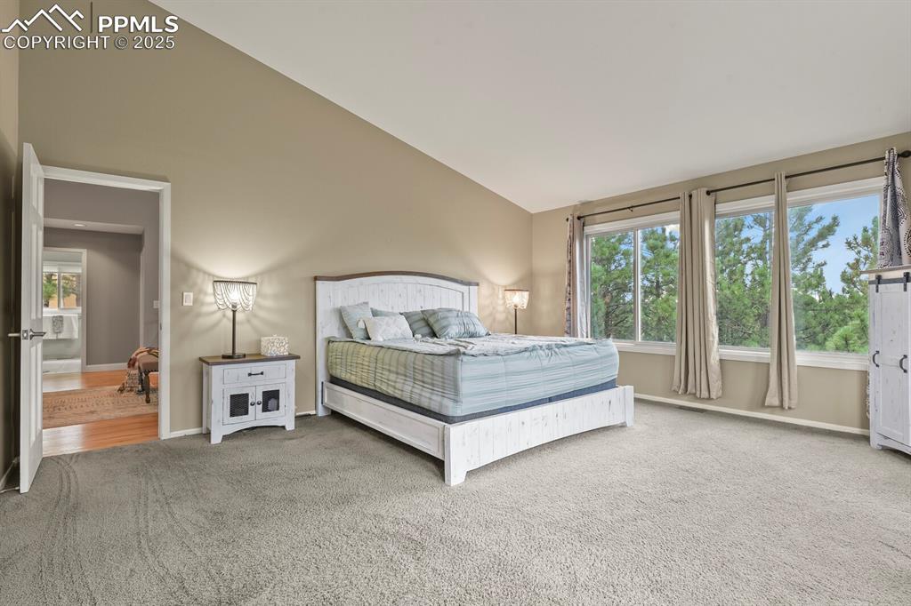 Image 22 of 50: Bedroom featuring carpet floors and high vaulted ceiling