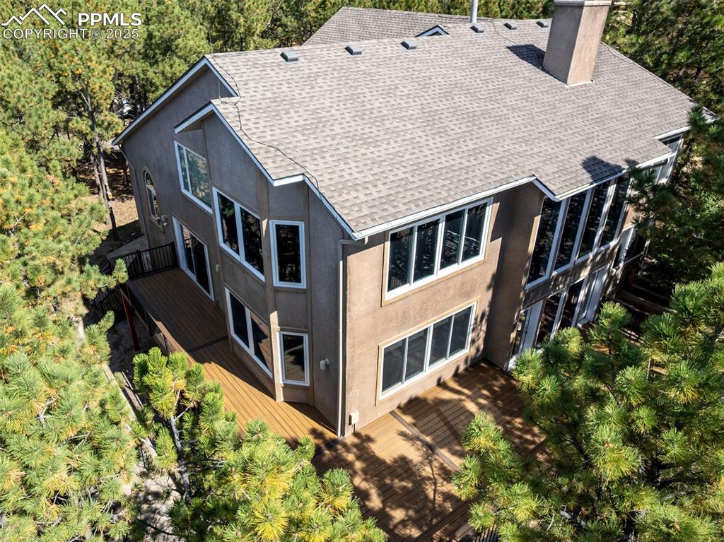 Image 41 of 50: Bird