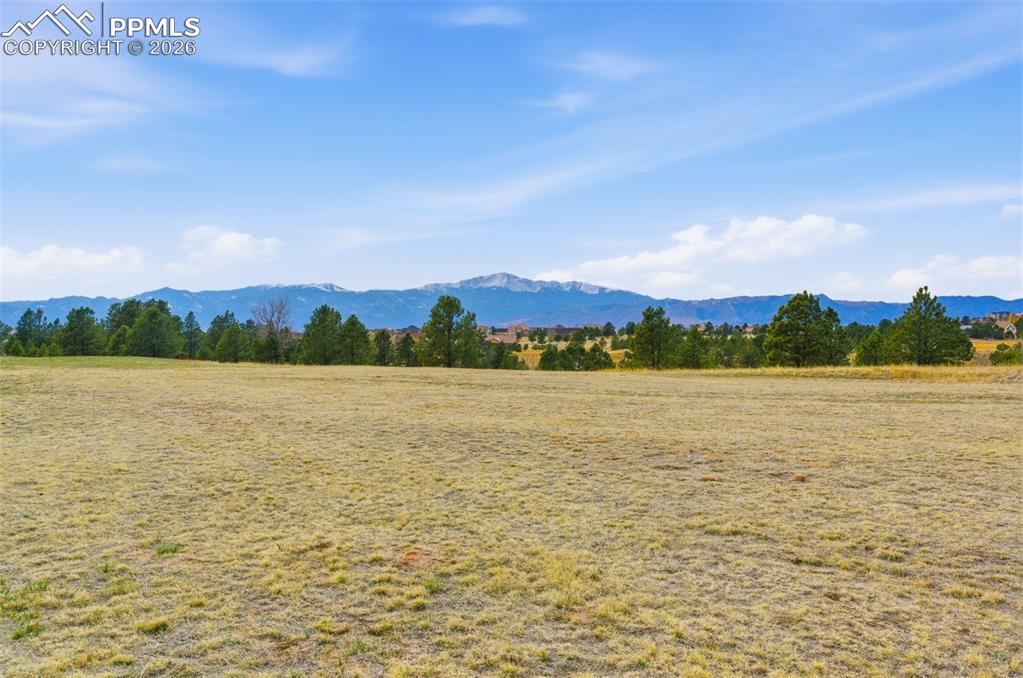 Image 11 of 14: View