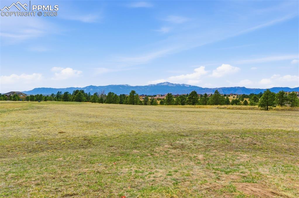 Image 12 of 14: View