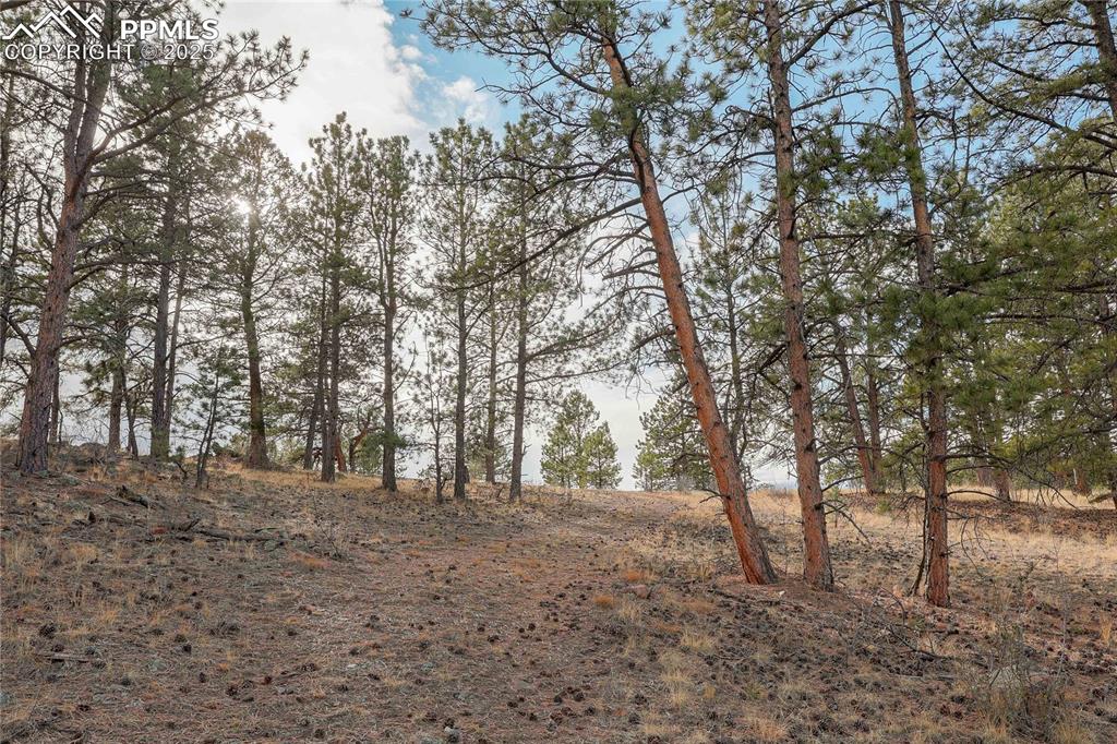 Image 11 of 22: View of nature