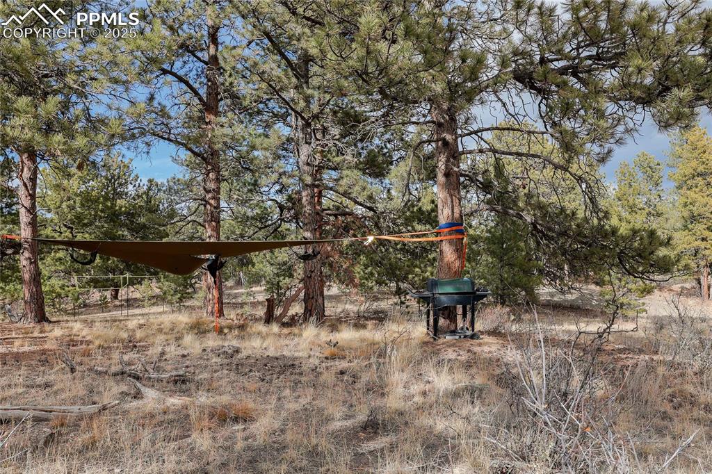 Image 14 of 22: View of yard