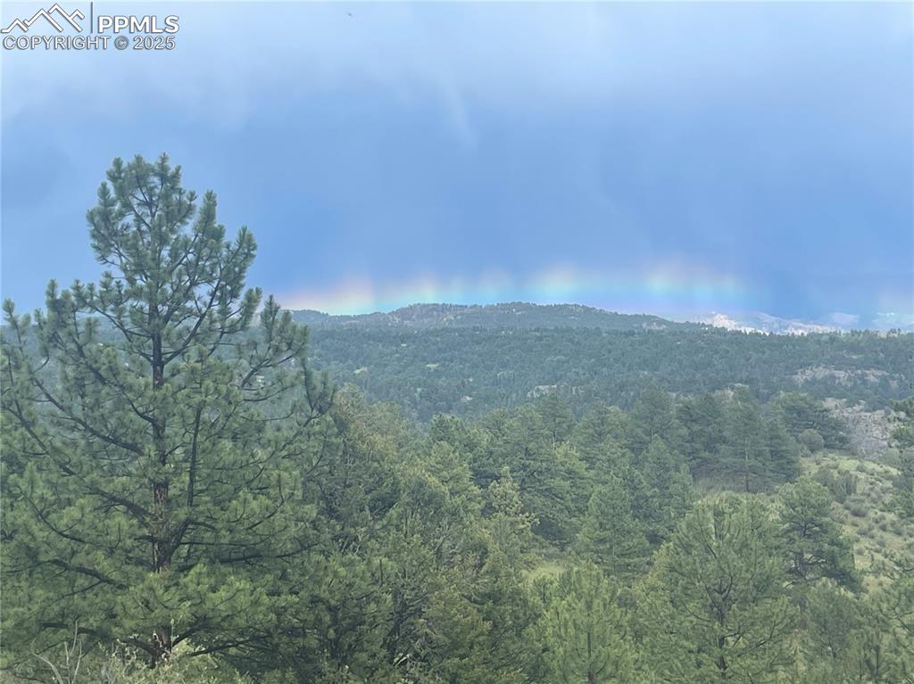 Image 20 of 22: View of mountain backdrop with a heavily wooded area
