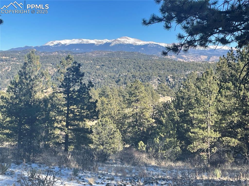 Image 22 of 22: Mountain view with a heavily wooded area