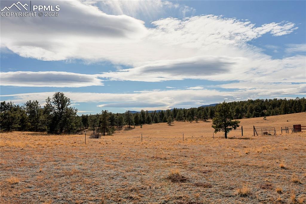 Image 7 of 22: Mountain view featuring rural landscape and a forest