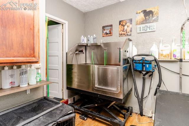 Image 21 of 38: Other