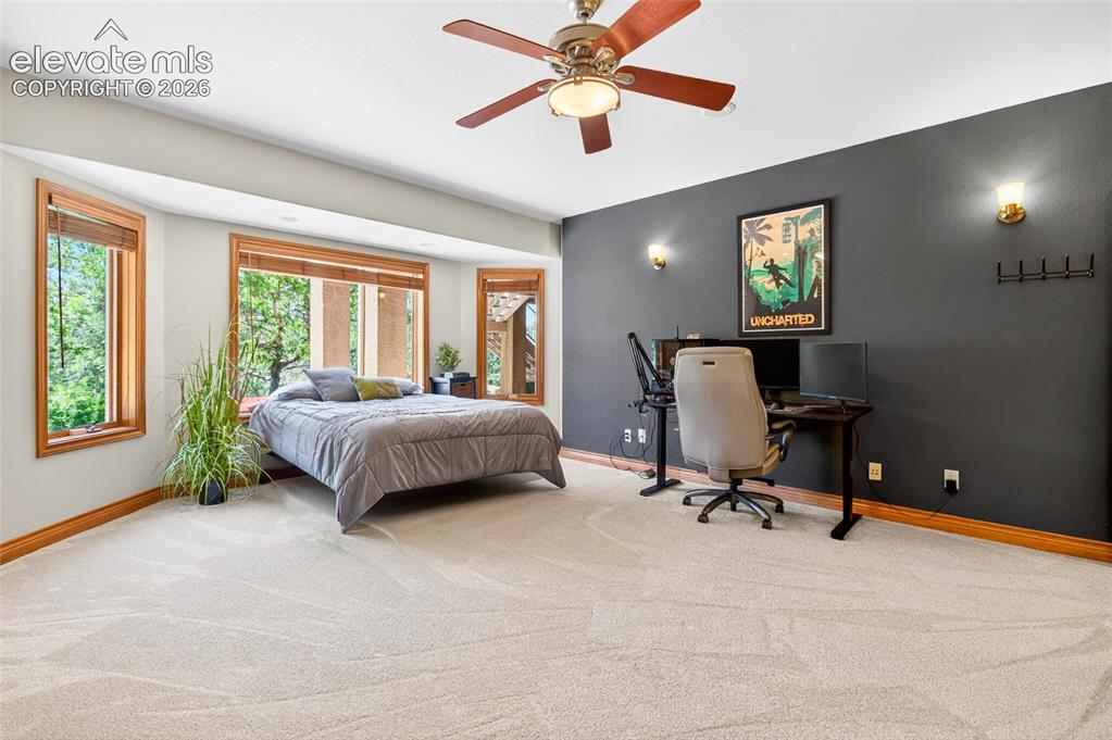 Image 44 of 50: Spacious room featuring light-colored carpeting and a contrasting dark acce