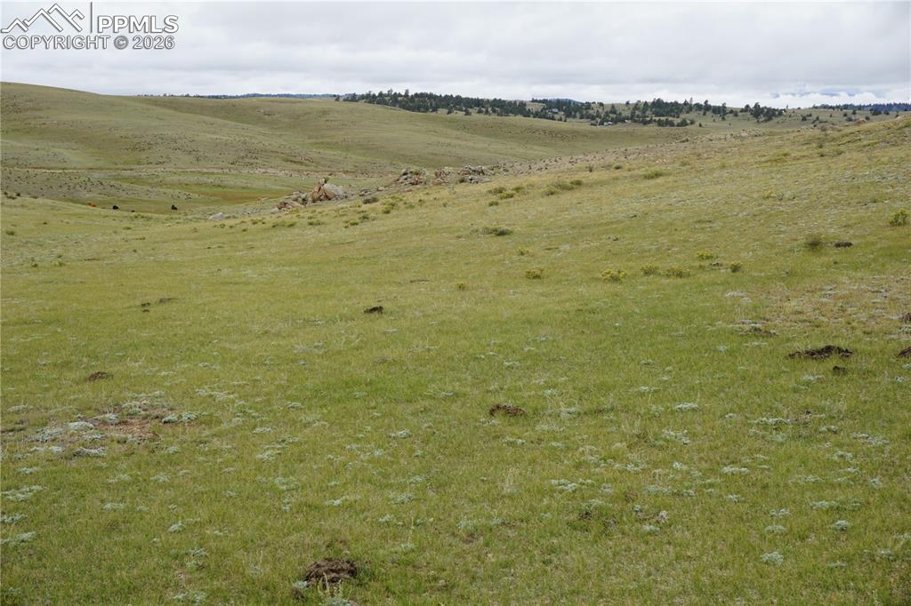 Image 12 of 16: Other