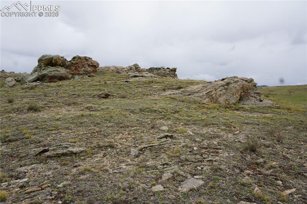 Image 2 of 16: Other