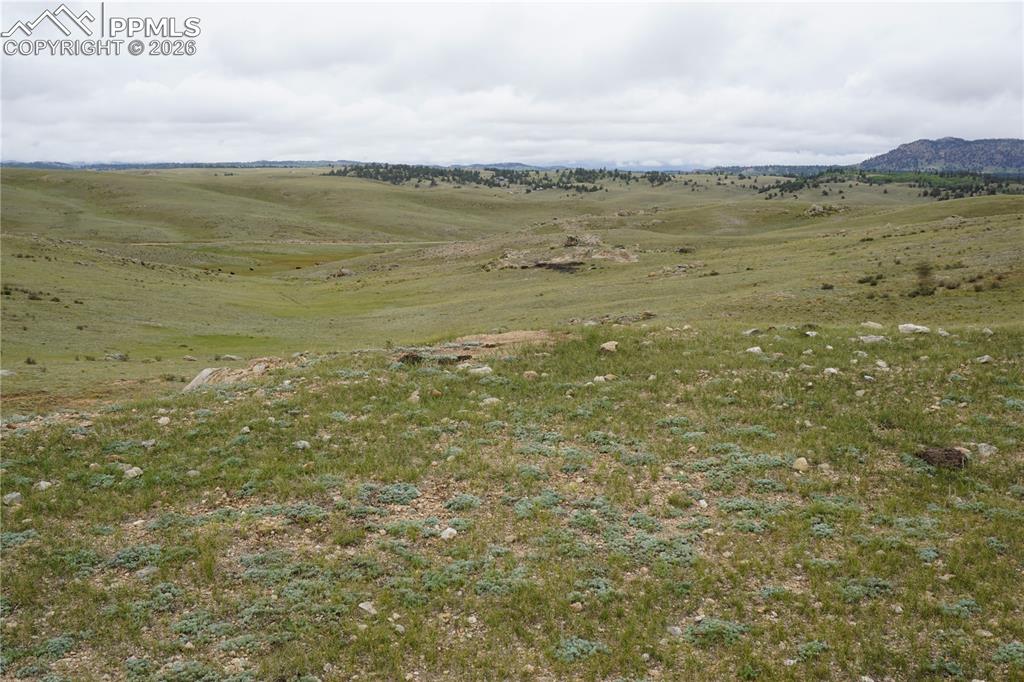 Image 6 of 16: Other