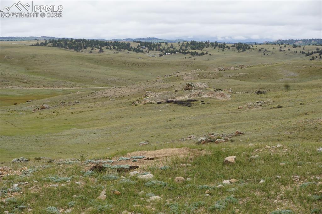 Image 7 of 16: Aerial View