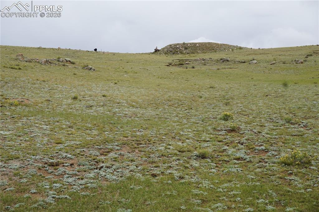 Image 8 of 16: Looking toward the cul-de-sac