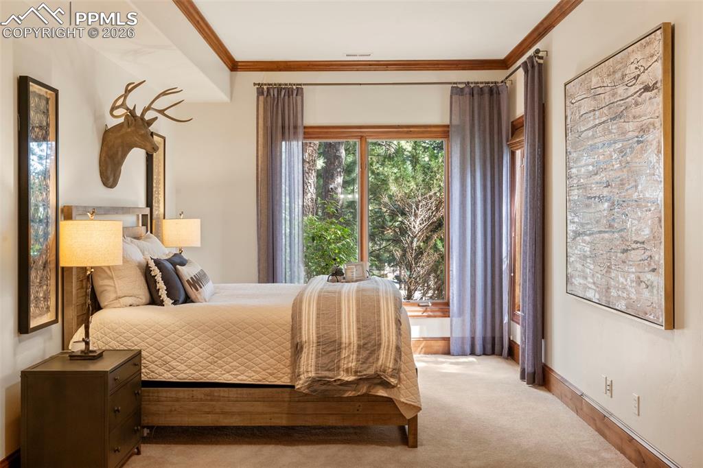 Image 32 of 48: No Description Available