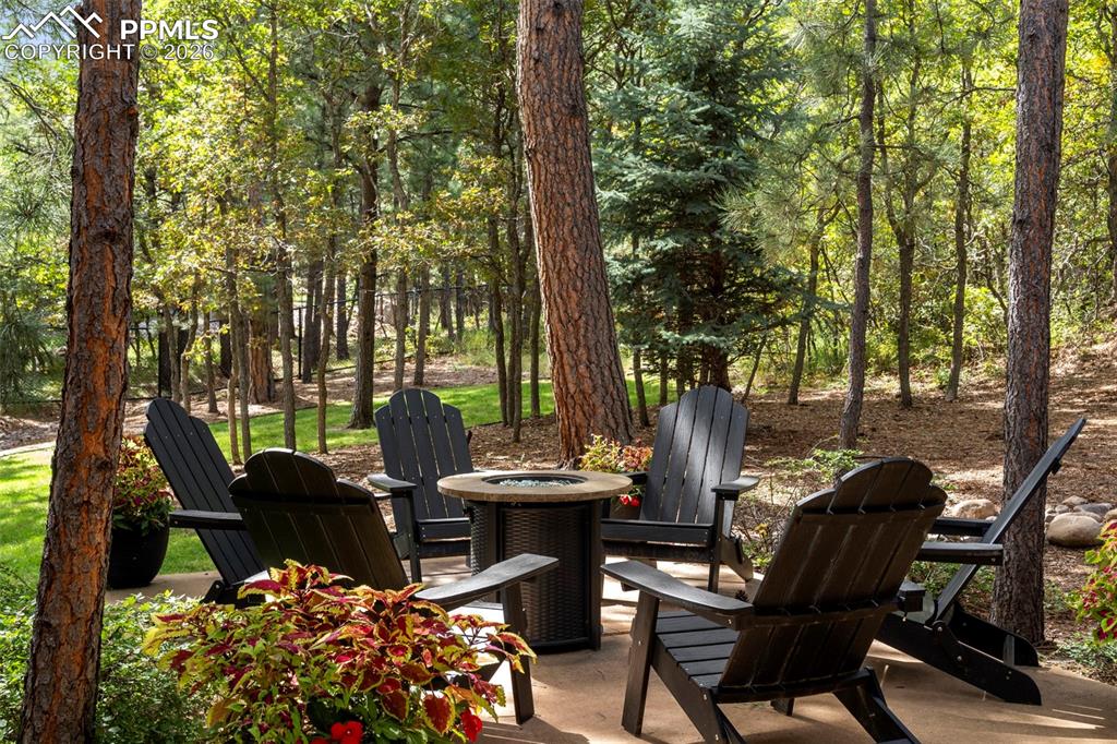 Image 42 of 48: No Description Available