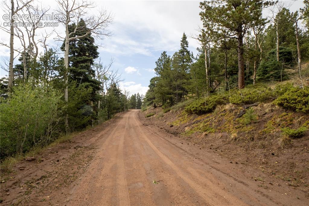 Image 4 of 22: Community
