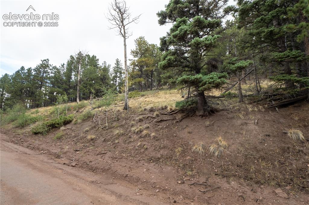 Image 9 of 22: Other