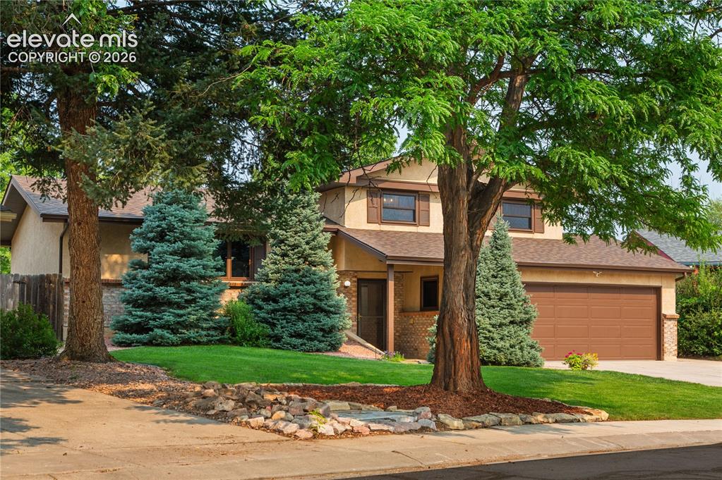 Image 4 of 50: Colorado honey locust and blue spruce trees.