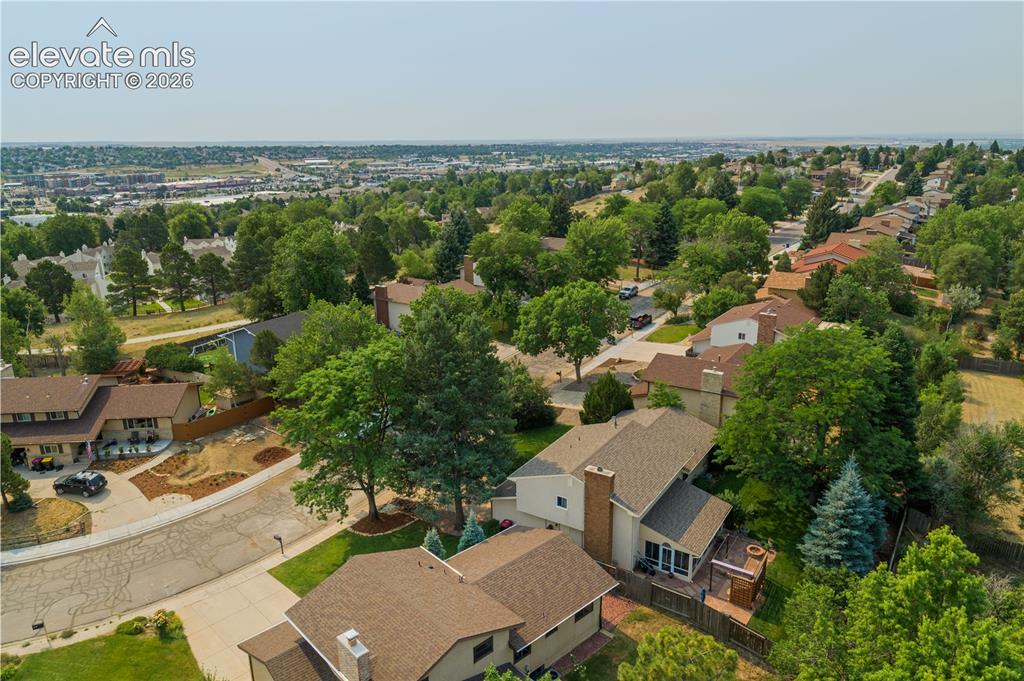 Image 44 of 50: Quiet neighborhood setting with mature trees and established residences.