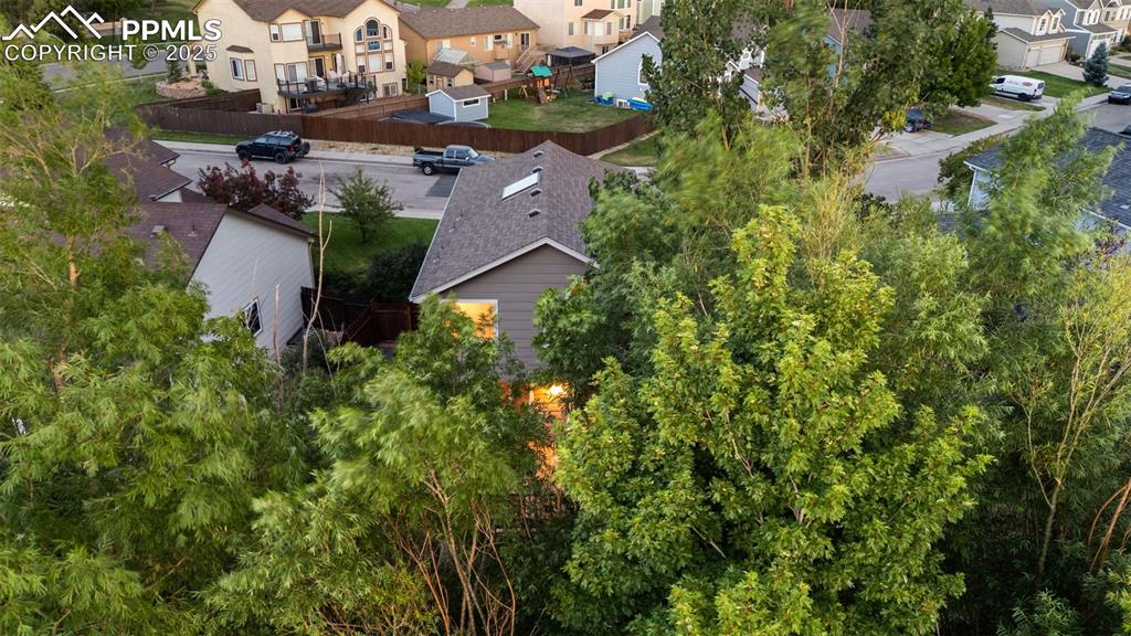 Image 3 of 50: Mature trees 