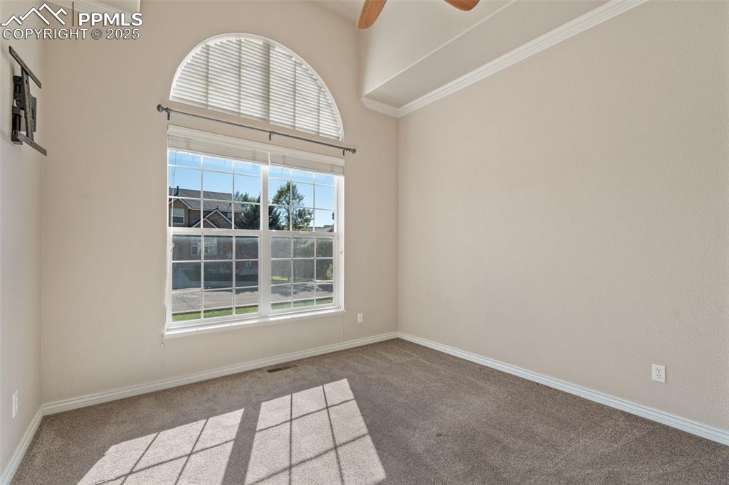 Image 6 of 50: Other