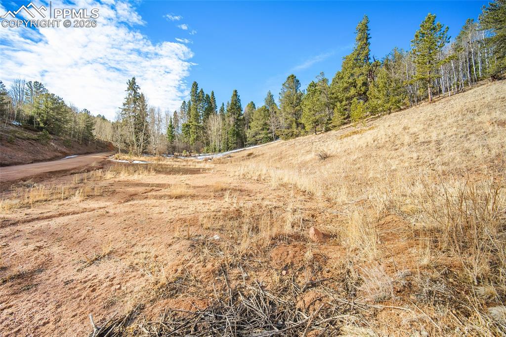 Image 40 of 49: No Description Available