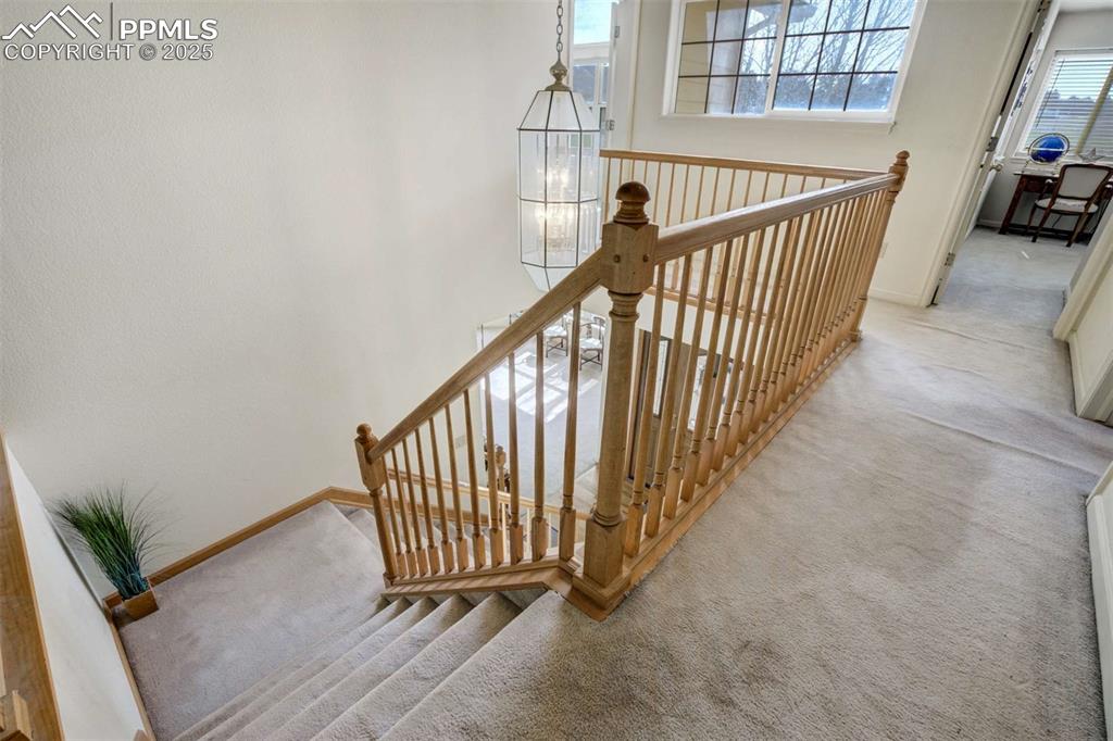 Image 19 of 49: Other