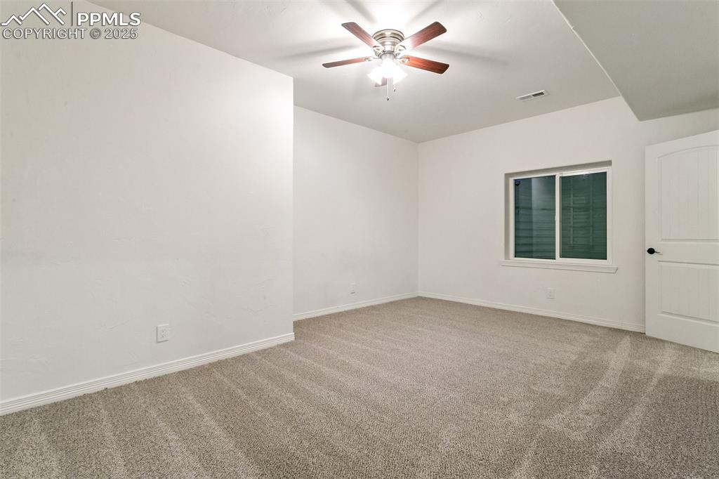 Image 30 of 43: Basement bedroom with walk in closet