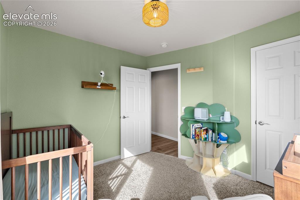 Image 15 of 42: Light green painted walls, neutral carpeting, white interior doors, and a d