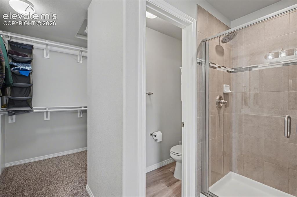Image 20 of 43: Walk-in closet with carpeted flooring and built-in shelving
