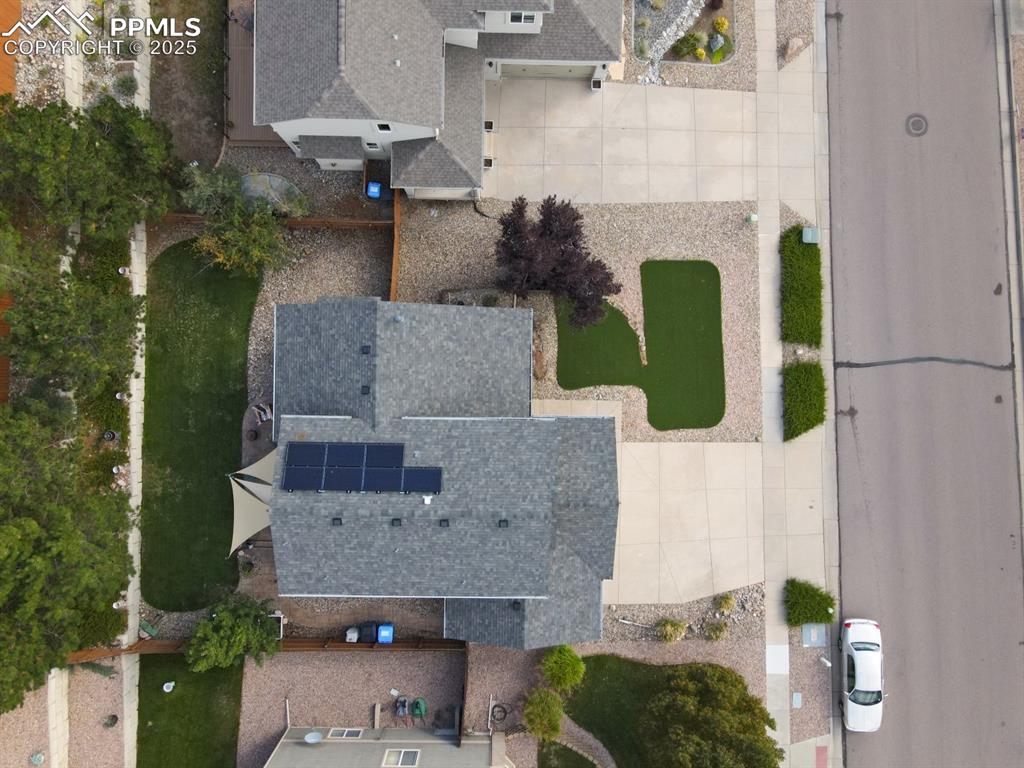 Image 38 of 43: Bird