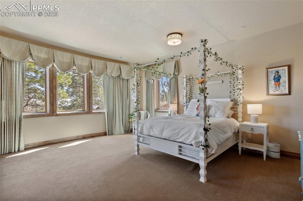 Image 36 of 50: Spacious bedroom with attached full bathroom and walk-in closet. 