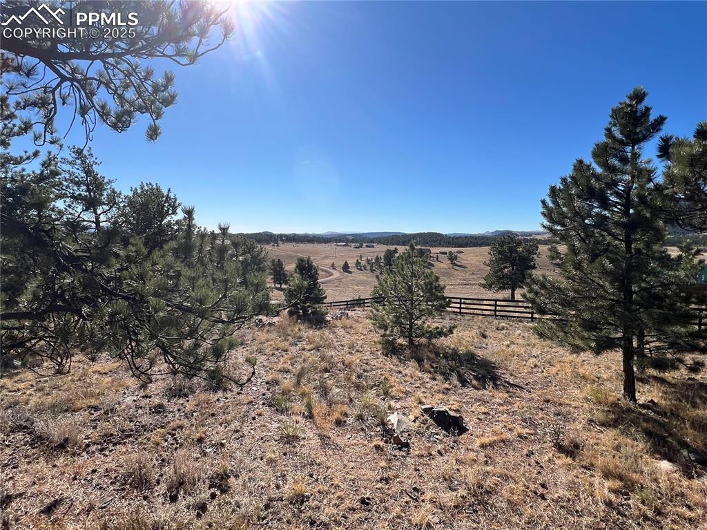 Image 40 of 46: Other