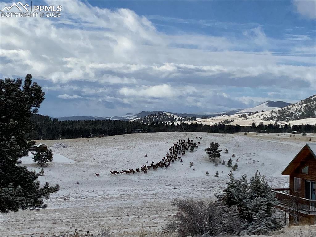 Image 42 of 46: View