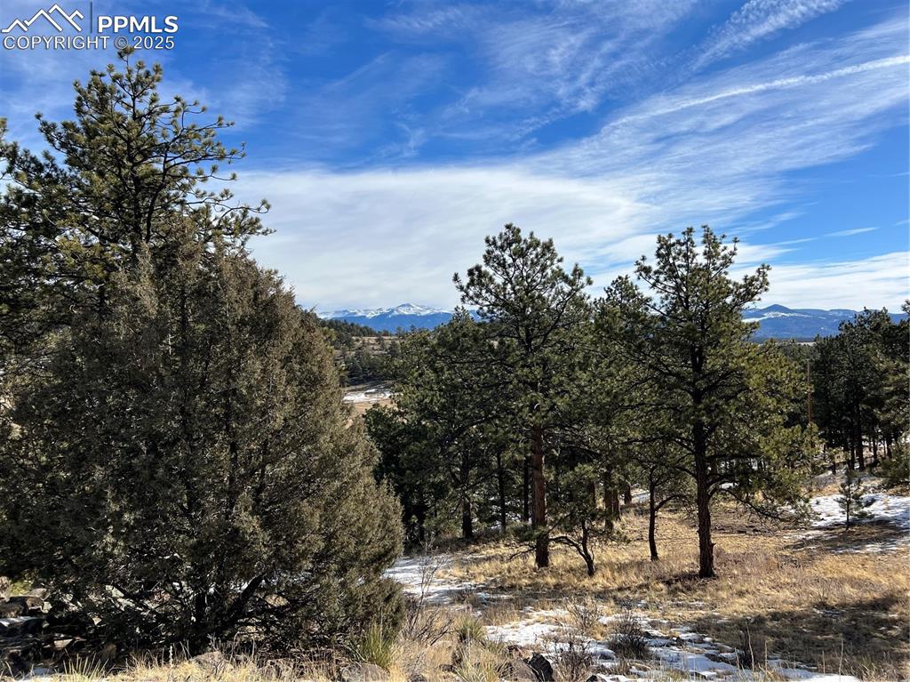 Image 43 of 46: View