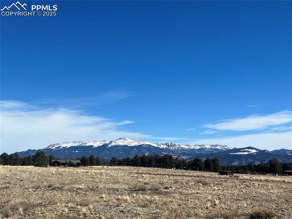 Image 45 of 46: View