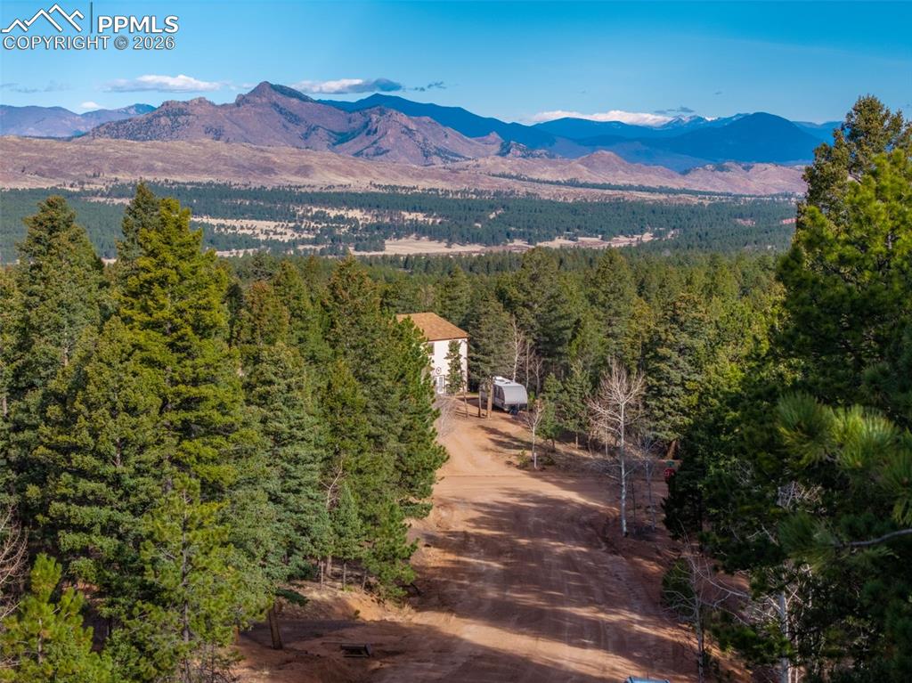Image 4 of 30: County Road coming to property (Spruce Circle); view to Mt. Evans in distan
