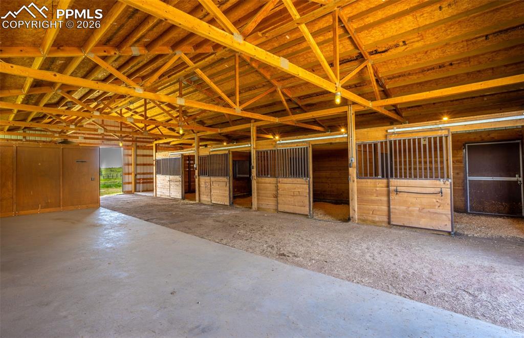 Image 8 of 37: Stable