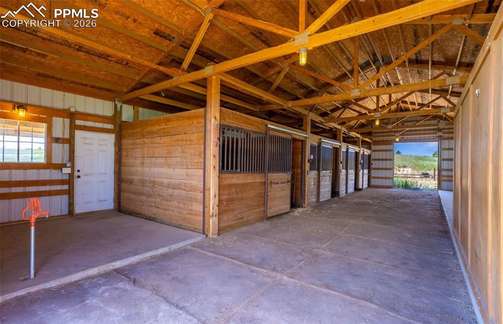 Image 9 of 37: Stable