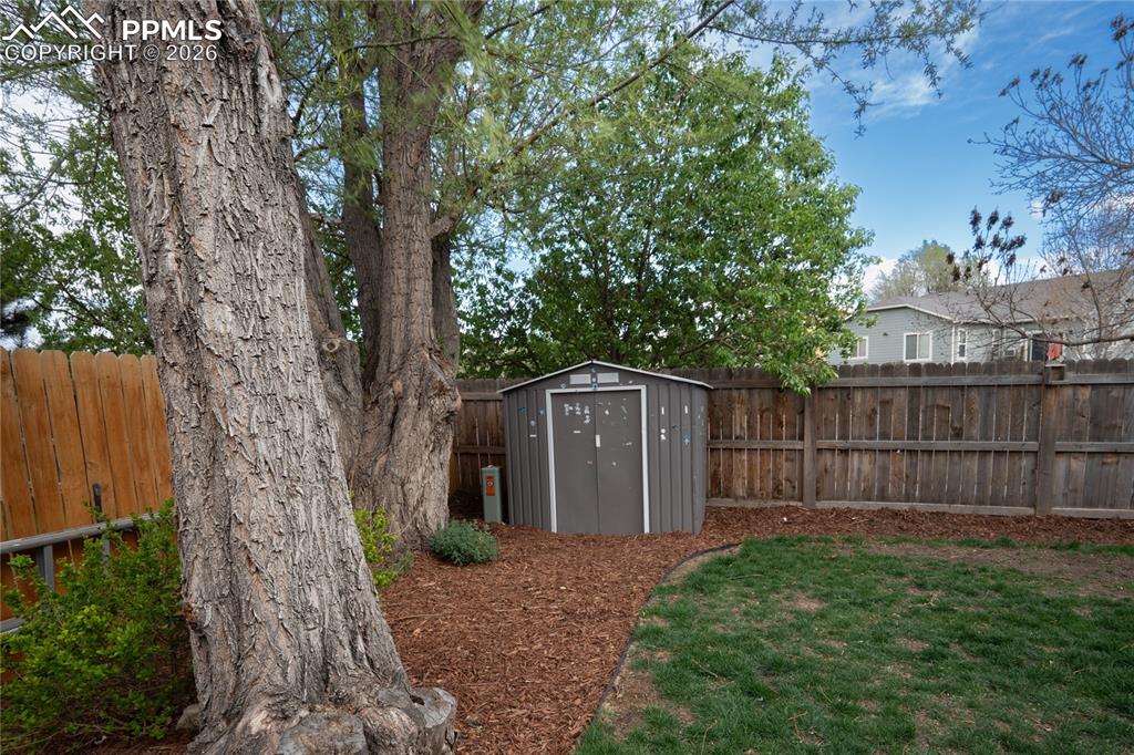 Image 10 of 50: Yard