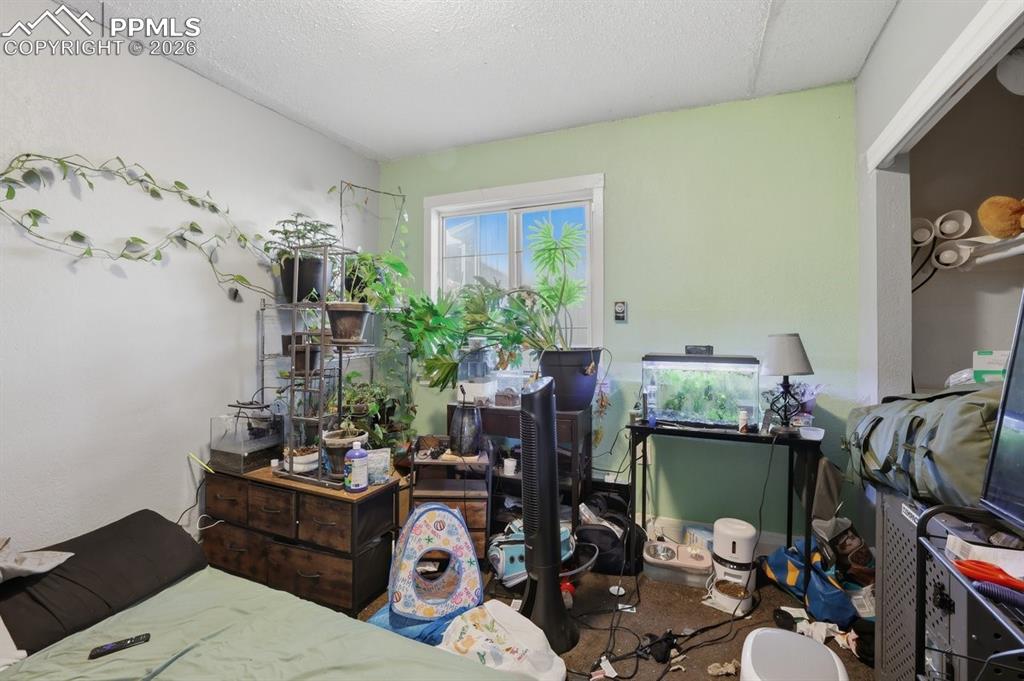 Image 29 of 31: No Description Available