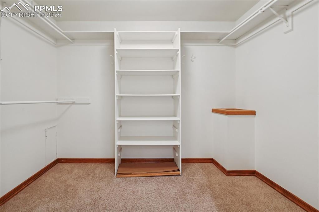Image 34 of 49: Spacious closet featuring light colored carpet