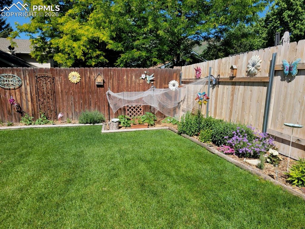 Image 43 of 49: Yard