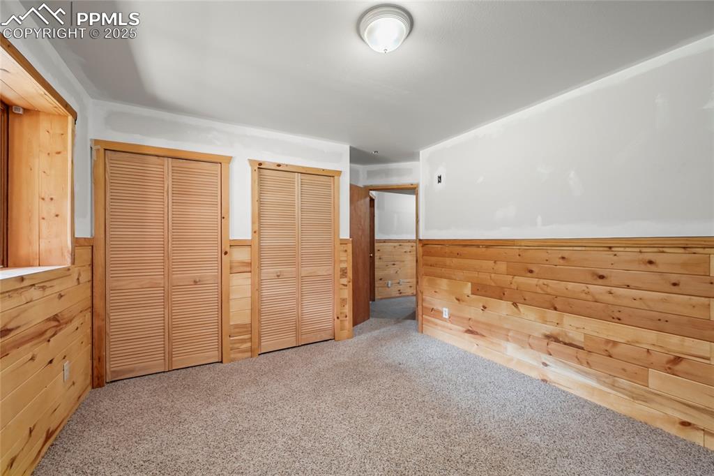 Image 37 of 50: Unfurnished bedroom with carpet floors, wooden walls, multiple closets, and